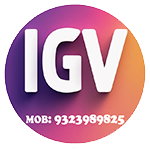 invisible-grill-in-Valsad-Contact-No-8298982525
